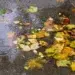 Погода в Сакраменто