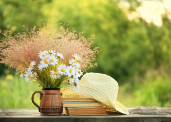 Фото: Shutterstock