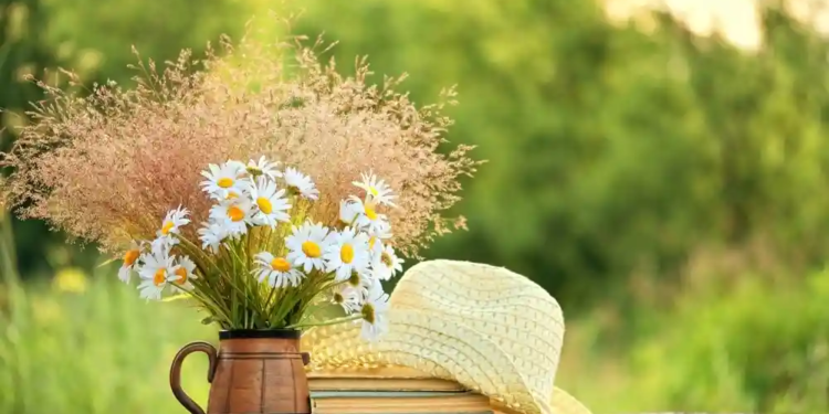 Фото: Shutterstock