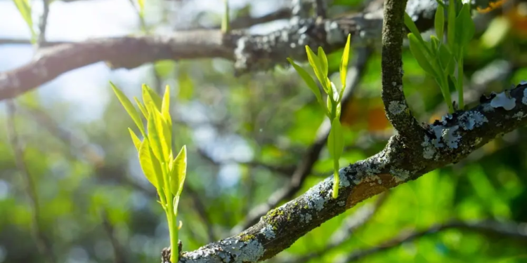 Фото: Shutterstock