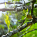 Фото: Shutterstock