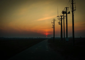 Фото: Shutterstock