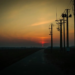 Фото: Shutterstock