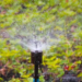 Фото: Shutterstock
