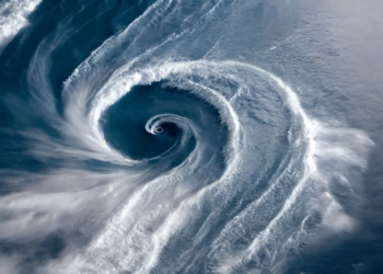 Фото: Shutterstock