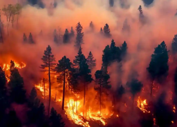 Фото: Shutterstock