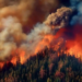 Фото: Shutterstock