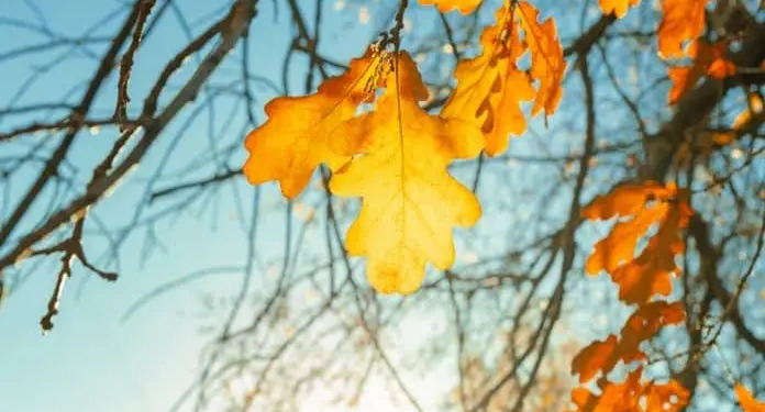 Фото: Shutterstock