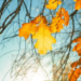 Фото: Shutterstock