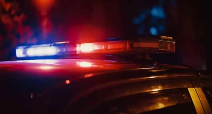 Фото: Shutterstock