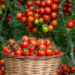 Фото: Shutterstock