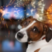Фото: Shutterstock