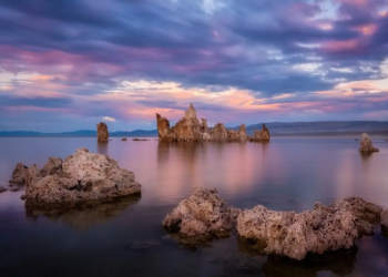 Фото: Shutterstock