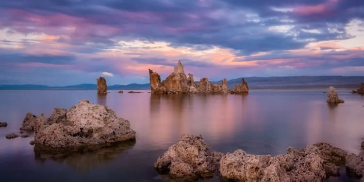 Фото: Shutterstock