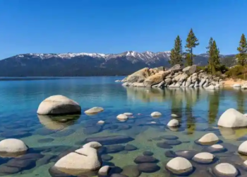 Фото: Shutterstock