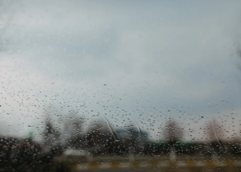 Фото: Shutterstock
