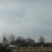 Фото: Shutterstock