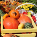 Чем заняться в Сакраменто на неделе