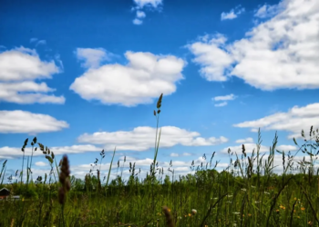 Фото: Shutterstock