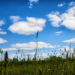 Фото: Shutterstock