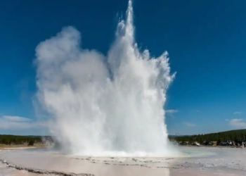 Фото: Shutterstock