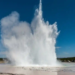 Фото: Shutterstock