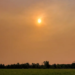 Фото: Shutterstock