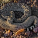Фото: Shutterstock