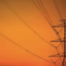 Фото: Shutterstock