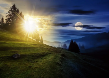 Фото: Shutterstock