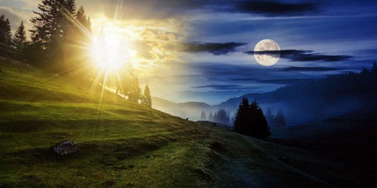 Фото: Shutterstock