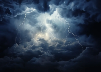 Фото: Shutterstock