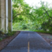 Фото: Shutterstock