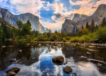 Фото: Shutterstock
