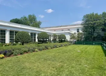 Трамп сносит крыло Белого дома