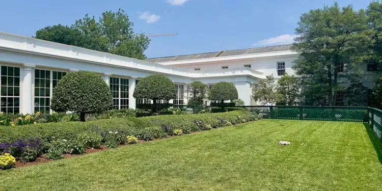 Трамп сносит крыло Белого дома