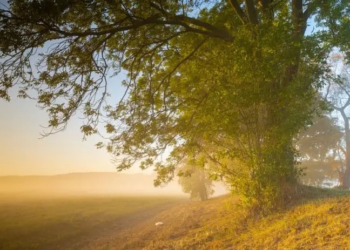 Фото: Shutterstock
