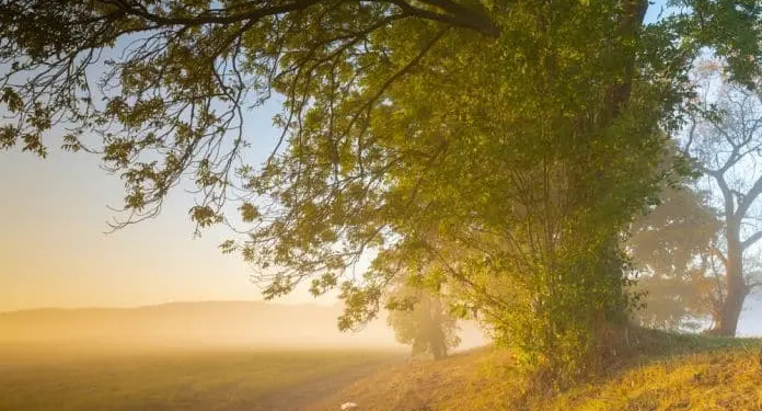 Фото: Shutterstock