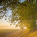 Фото: Shutterstock