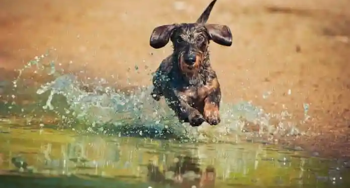 Фото: Shutterstock