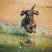 Фото: Shutterstock