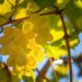 Фото: Shutterstock