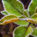 Фото: Shutterstock