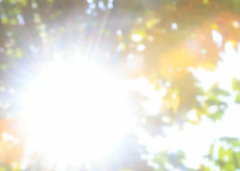 Фото: Shutterstock
