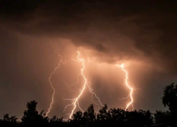 Фото: Shutterstock