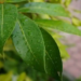 Фото: Shutterstock