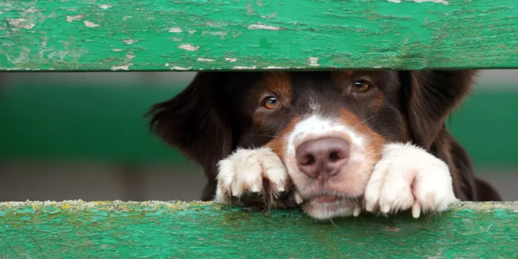 Фото: Shutterstock