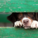 Фото: Shutterstock