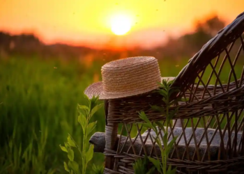 Фото: Shutterstock