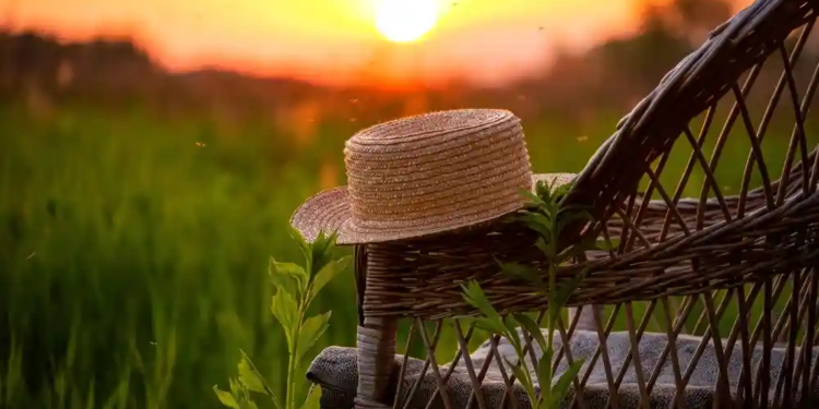 Фото: Shutterstock